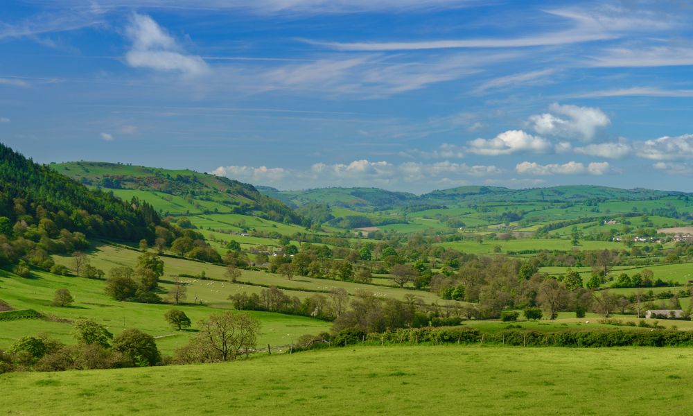 green field landscapes